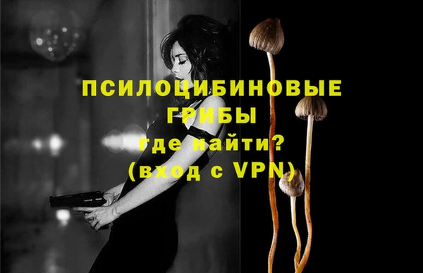 соль ск Майский