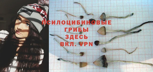 соль ск Майский